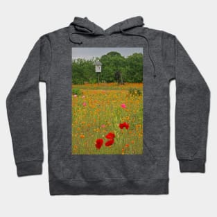 Summer Flowers, Holme Gardens, June 2020 Hoodie